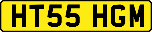 HT55HGM
