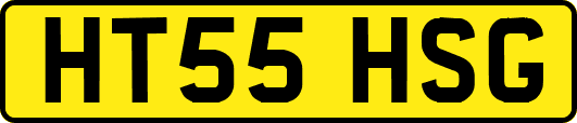 HT55HSG