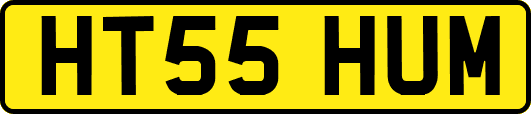 HT55HUM
