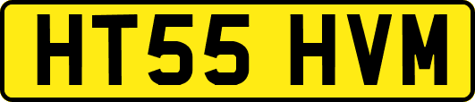 HT55HVM
