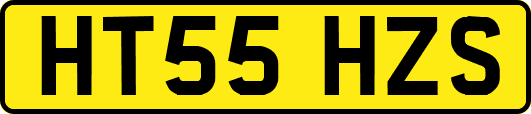 HT55HZS