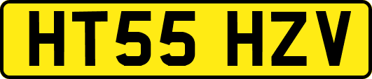 HT55HZV