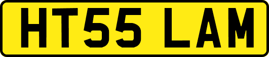 HT55LAM