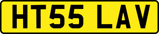 HT55LAV