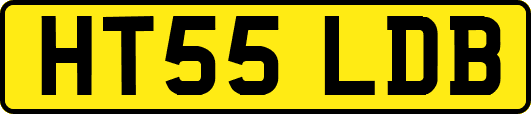 HT55LDB