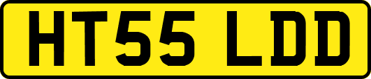 HT55LDD