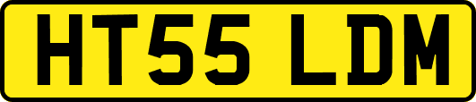 HT55LDM