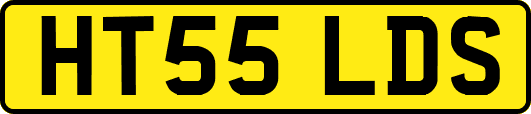 HT55LDS