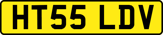 HT55LDV