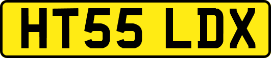 HT55LDX