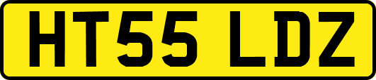 HT55LDZ