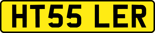 HT55LER