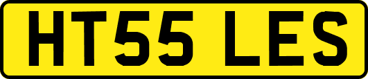 HT55LES