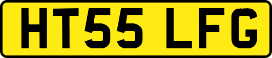 HT55LFG