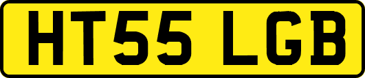 HT55LGB