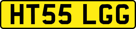 HT55LGG