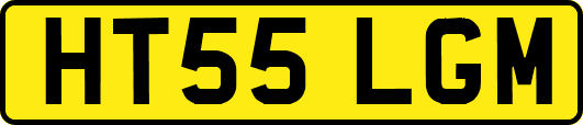 HT55LGM