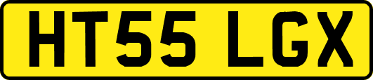 HT55LGX