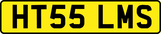 HT55LMS