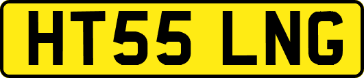 HT55LNG