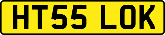 HT55LOK