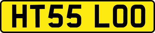 HT55LOO
