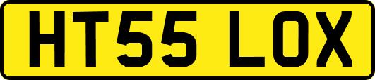 HT55LOX