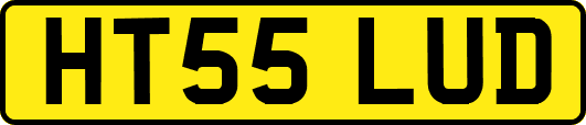HT55LUD