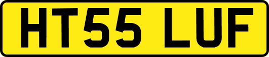 HT55LUF