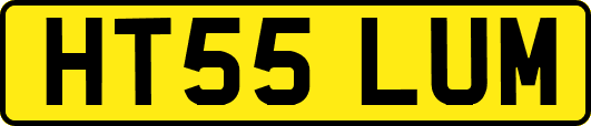 HT55LUM