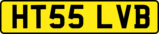 HT55LVB