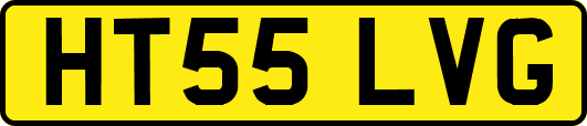 HT55LVG