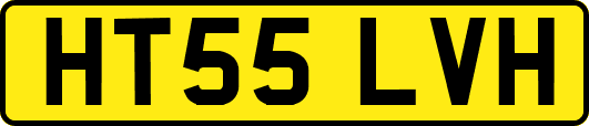 HT55LVH