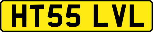 HT55LVL