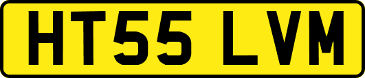 HT55LVM