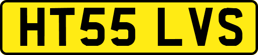 HT55LVS