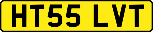 HT55LVT