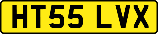 HT55LVX