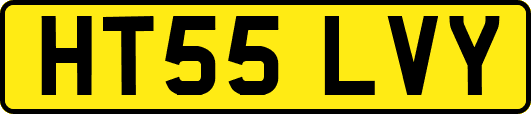 HT55LVY
