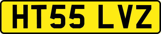 HT55LVZ