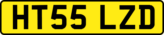 HT55LZD