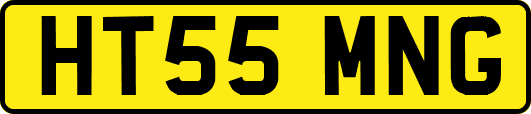 HT55MNG