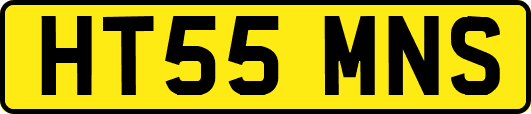 HT55MNS