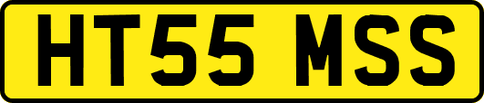 HT55MSS