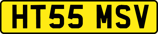 HT55MSV