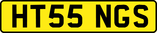 HT55NGS