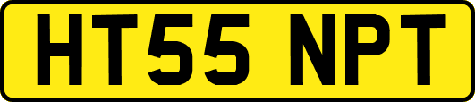 HT55NPT