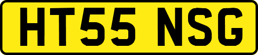 HT55NSG