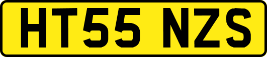HT55NZS