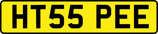 HT55PEE